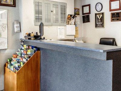 Frackville Econo Lodge מראה חיצוני תמונה